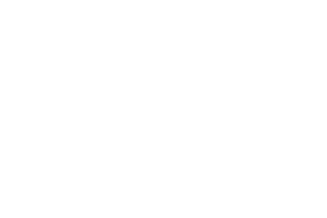 Logotipo de GNP