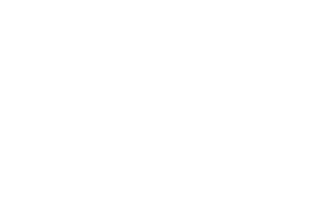 Logotipo de Steve Madden